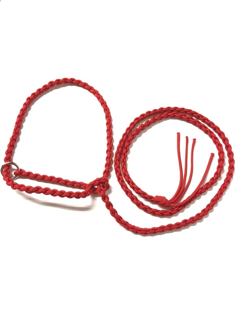 goat halter and lead, dwarf goat halter, dwarf goat lead, small goat halter, small livestock halter, nubian goat halter, alpaca halter image 4