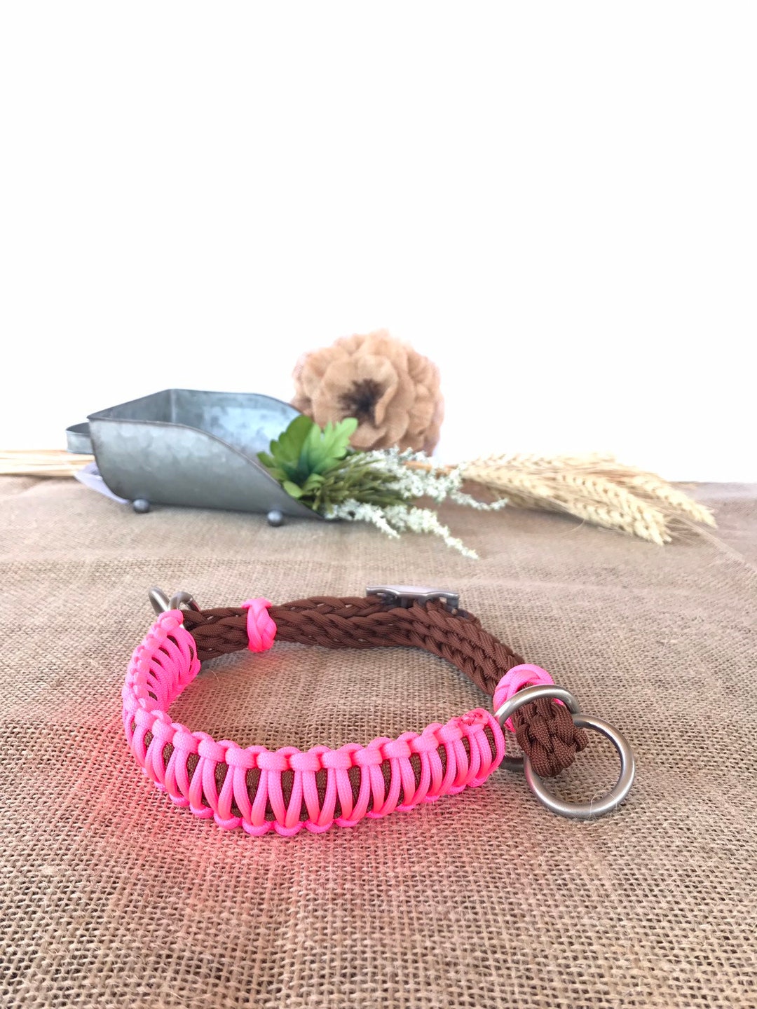 Side Pull Hackamore With a Whoa Mini to Draft Size Etsy