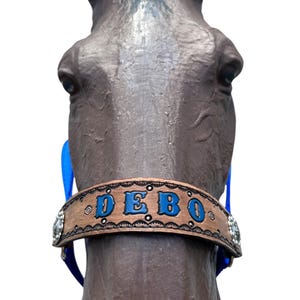 Personalized blue horse halter