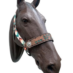 Trophy or Award horse halter