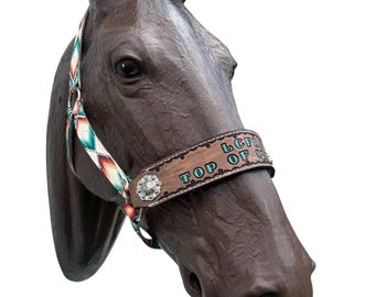 Trophy or Award horse halter