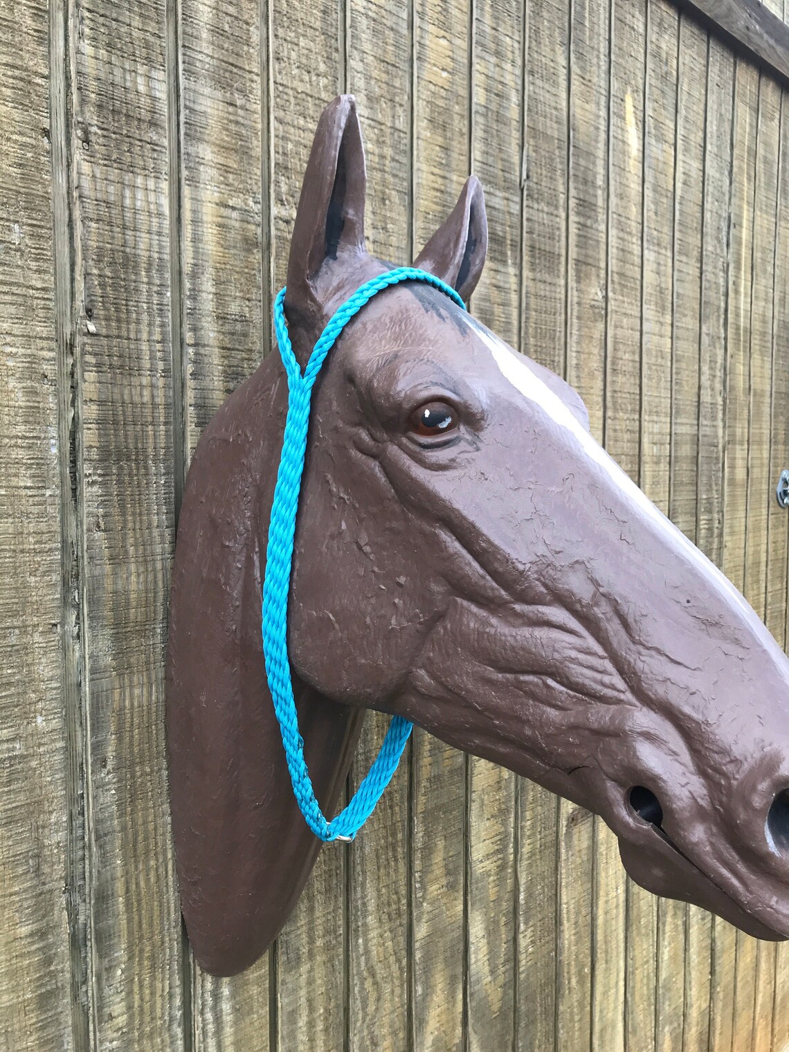 Turquoise War Tie Down Custom Horse Tack Paracord Etsy