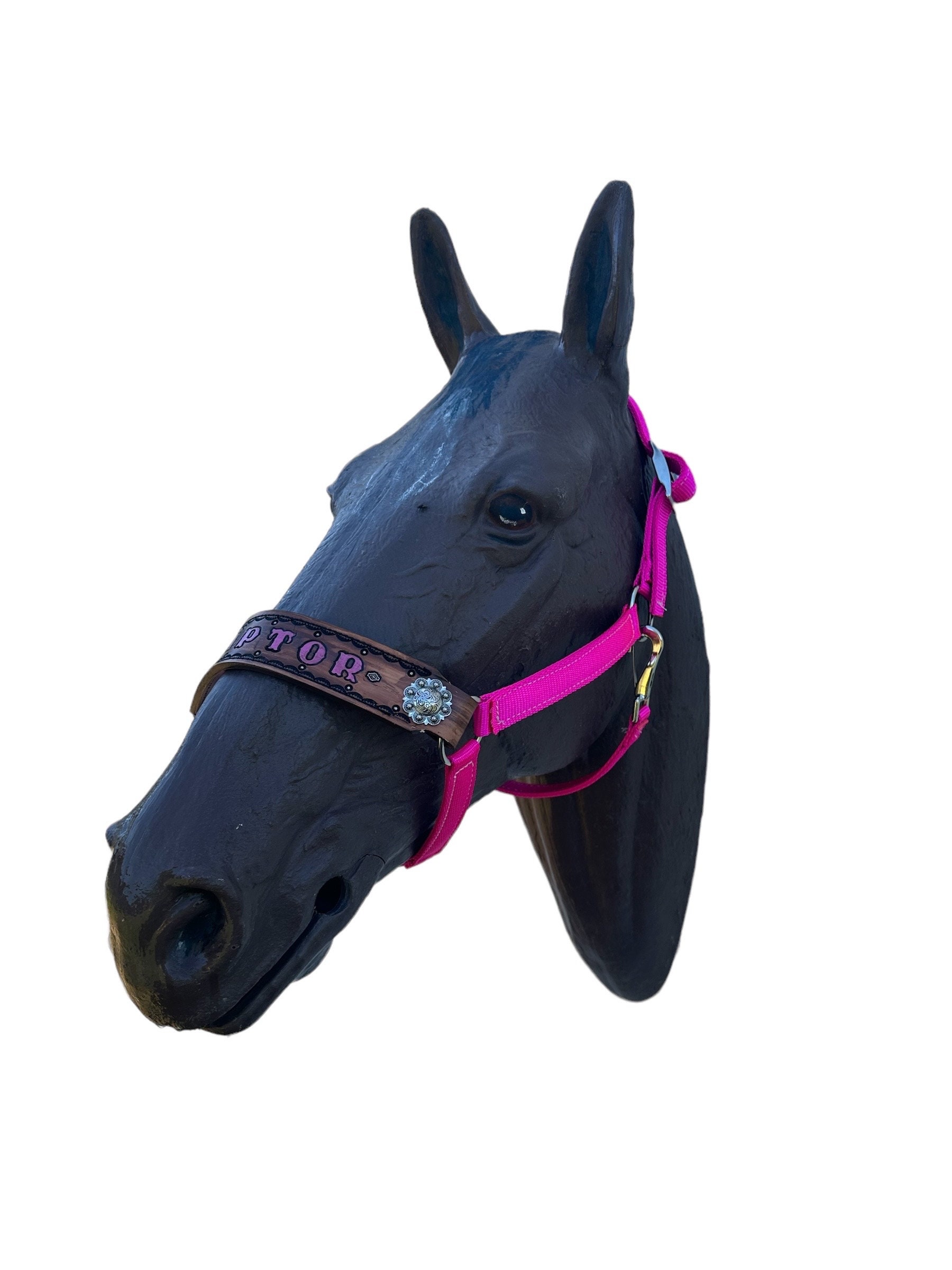 Personalized fuchsia horse halter
