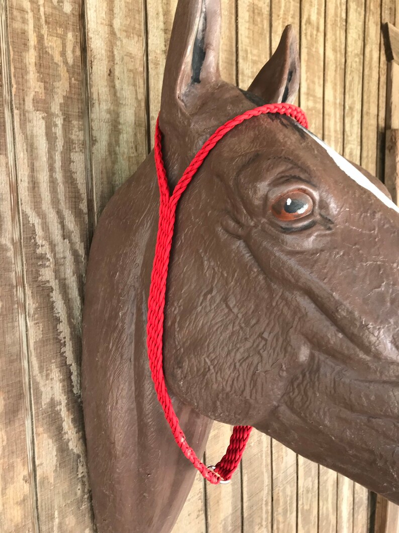 War tie down tie down noseband horse tack barrel Etsy