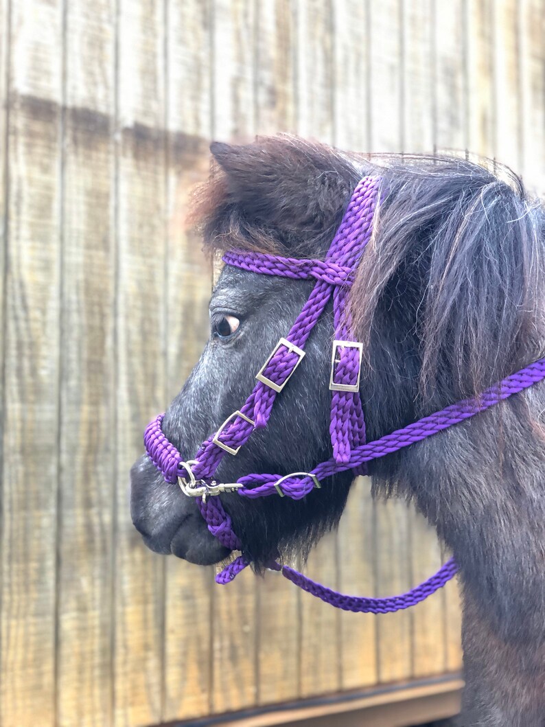 miniature horse bridle pony bosal miniature horse pony side pull hackamore bridle Pony bridle