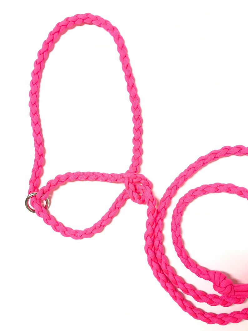 Dwarf Livestock Lead Pygmy Goats Sheep Alpacas Goat Etsy