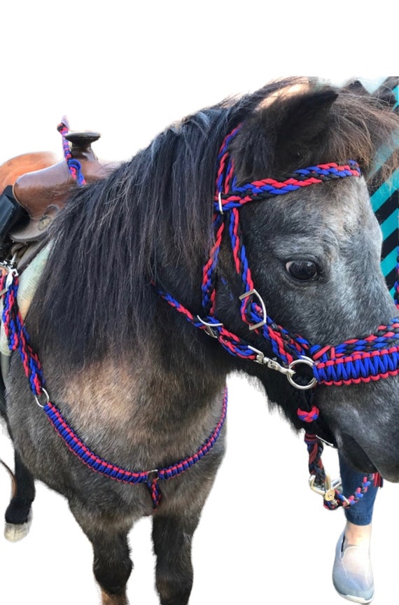 Pony Tack Miniature Horse Tack Pony Pony Tack Pony Hackamore