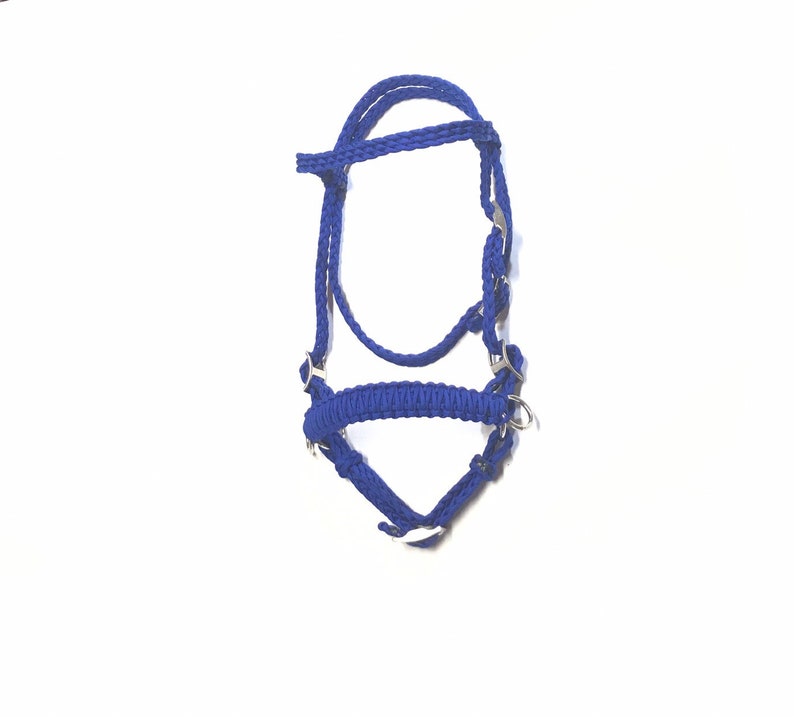 May include: A blue braided horse halter with silver hardware.