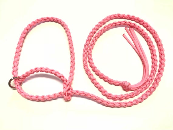neon turquoise small livestock halter goat sheep alpaca