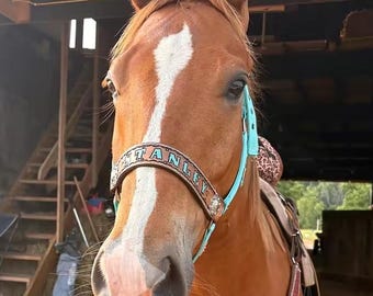 Personalized turquoise  print horse halter