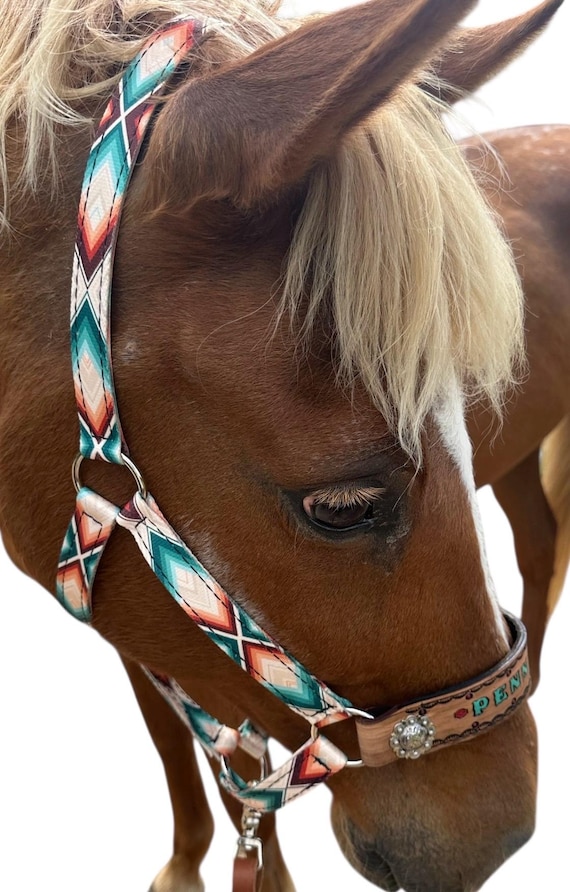 Ensemble D'attaches En Cuir Western Pour Cheval, Style Gladiateur Rose Aztèque, Finitions Franges Et Strass