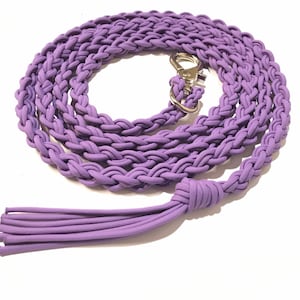 Braided lead rope, paracord lead rope, braided lead rope,  8&#39; custom colors