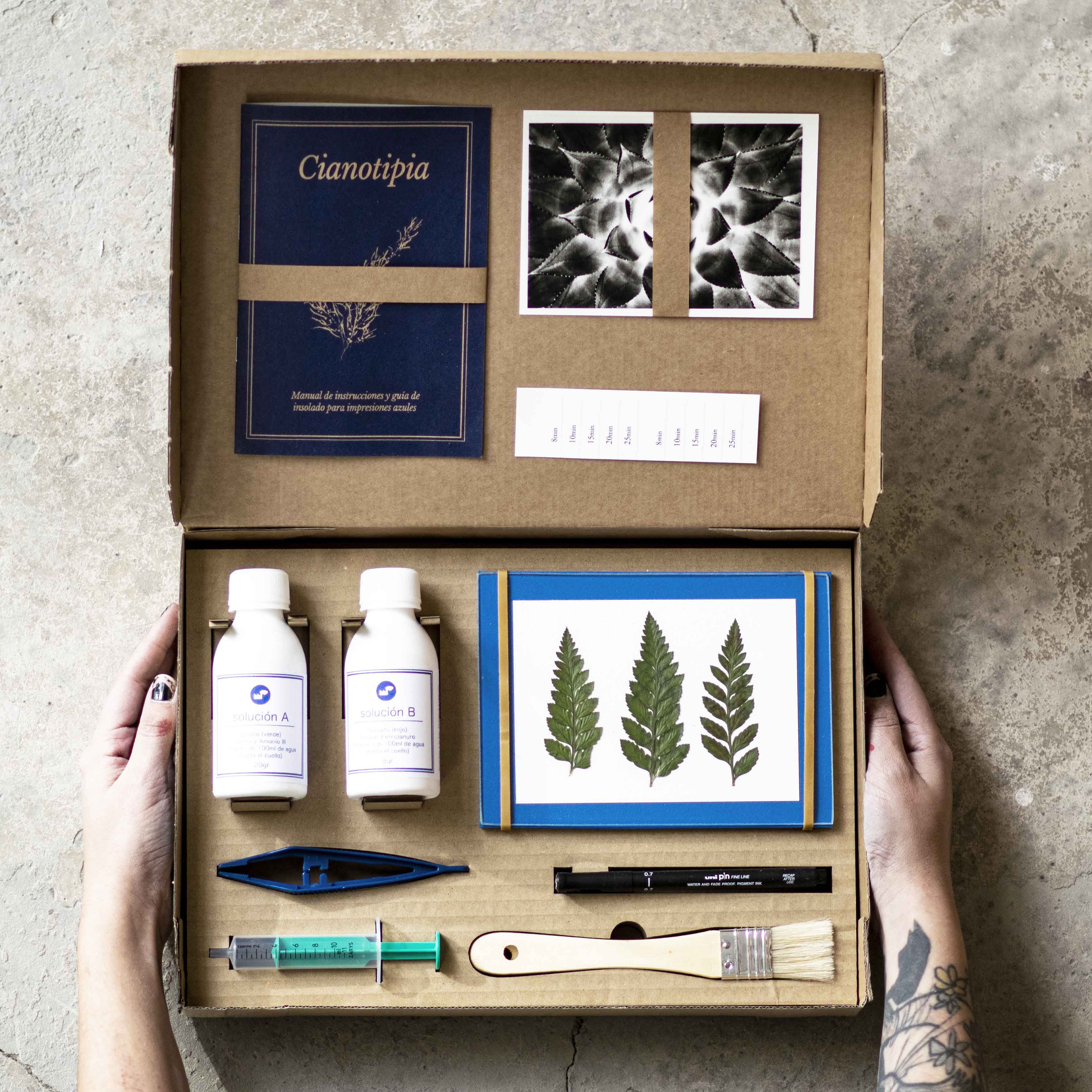 Get creative with a cyanotype kit - Gathered