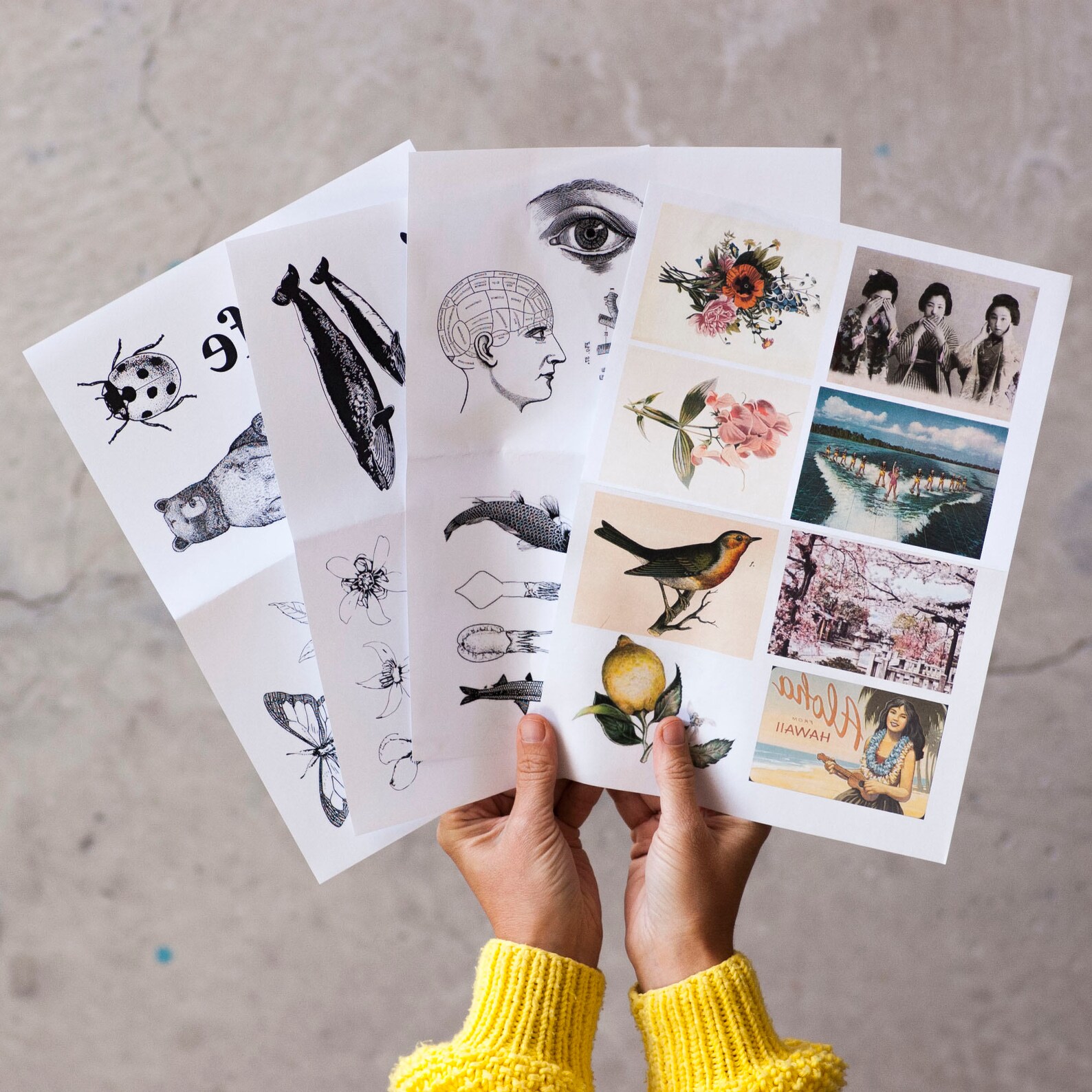 Image Transfer Kit Etsy