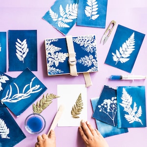 Botanical Cyanotype kit