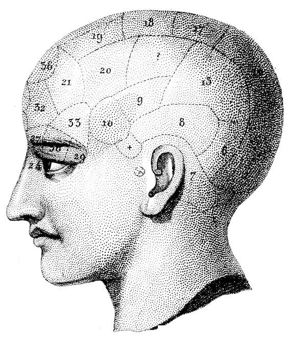 Antique anatomy Anatomical chart Medical print 20 | Etsy