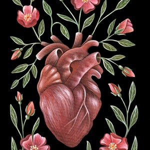 Anatomical Heart Art Print Watercolor Painting Print Anatomical Heart Gift Wild Roses image 4