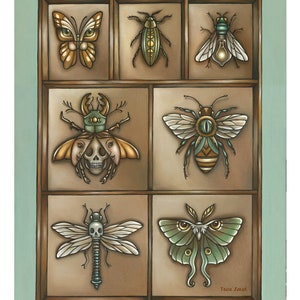 Insecta 11x14 Oil Painting Print Insect Collection Natural History Bugs Art Print image 4