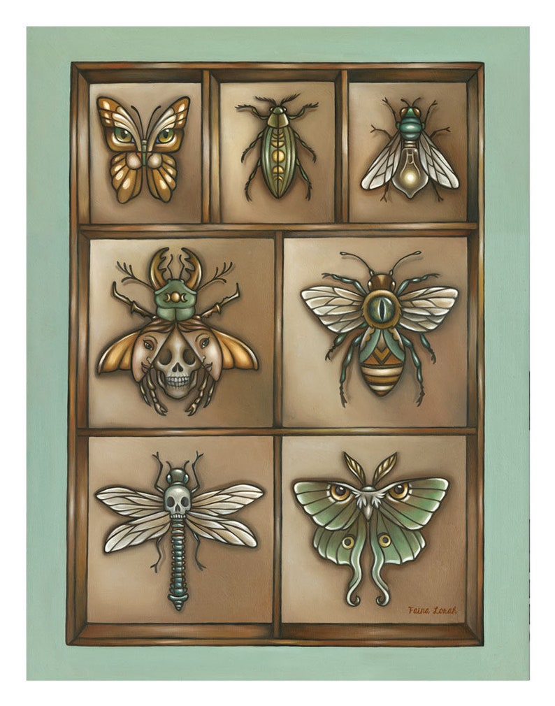 Insecta 11x14 Oil Painting Print Insect Collection Natural History Bugs Art Print image 4