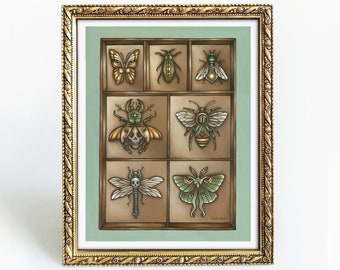 Insecta - 11x14 Oil Painting Print - Insect Collection - Natural History - Bugs Art Print