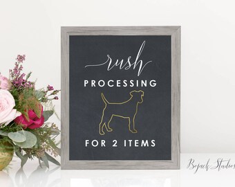 Rush Processing Upgrade - 1 o 2 elementi (non include poster stampati)