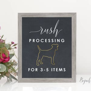 Rush Processing Upgrade -  5 items (including printed posters)