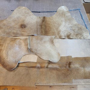Op de afbeelding: Drie onregelmatige stukken lichtbruine en beige dierenhuid met een natuurlijke vachttextuur. De stukken zijn op een plat oppervlak gerangschikt, met een blauwe metalen liniaal langs de boven- en rechterrand, die afmetingen in centimeters weergeeft.