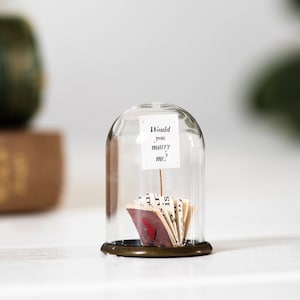 Marry Me miniatuurboek, cadeau huwelijksaanzoek
