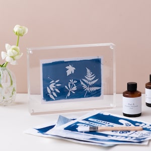 Kit cianotipia, stampa solare fai da te, stampa solare botanica