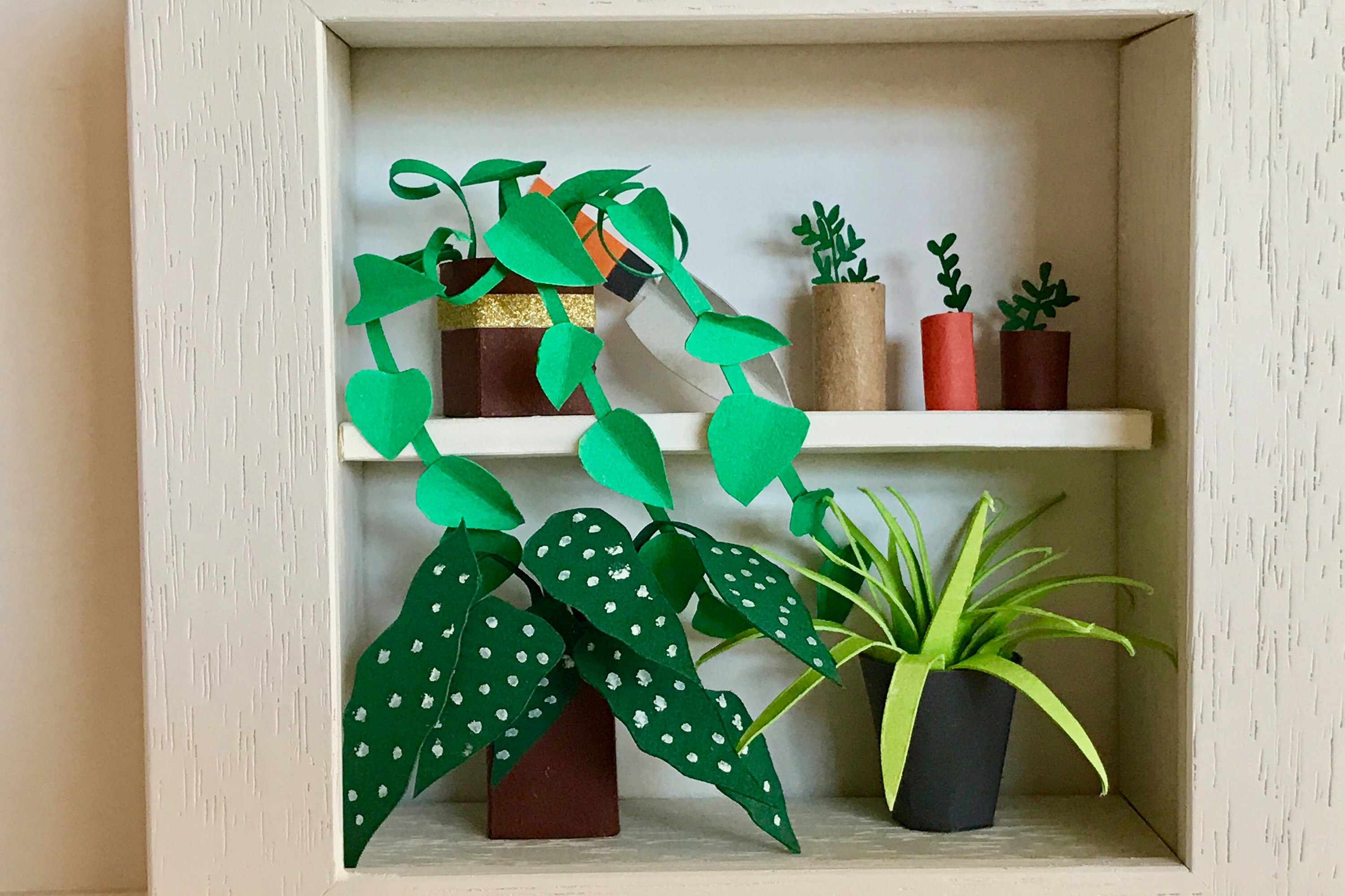 Natural history illustrator near me picture