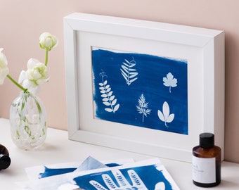 Kit cyanotype, impression solaire DIY, impression solaire botanique