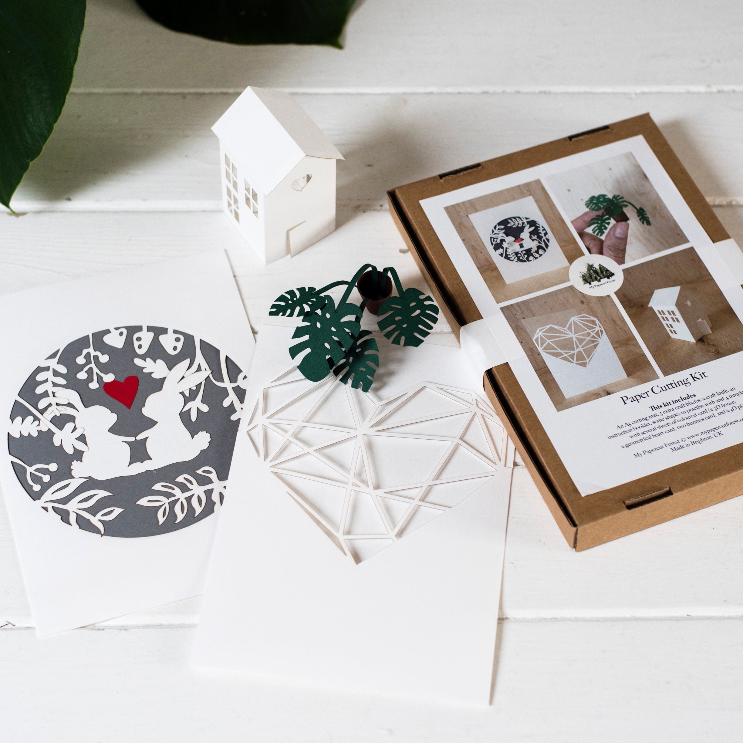 Kit DIY pour la fabrication de papier artisanal - Album