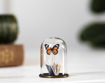 May include: A glass dome with a brass base encloses a small, open book with pages fanned out and a butterfly perched on top. The butterfly has orange and black wings.