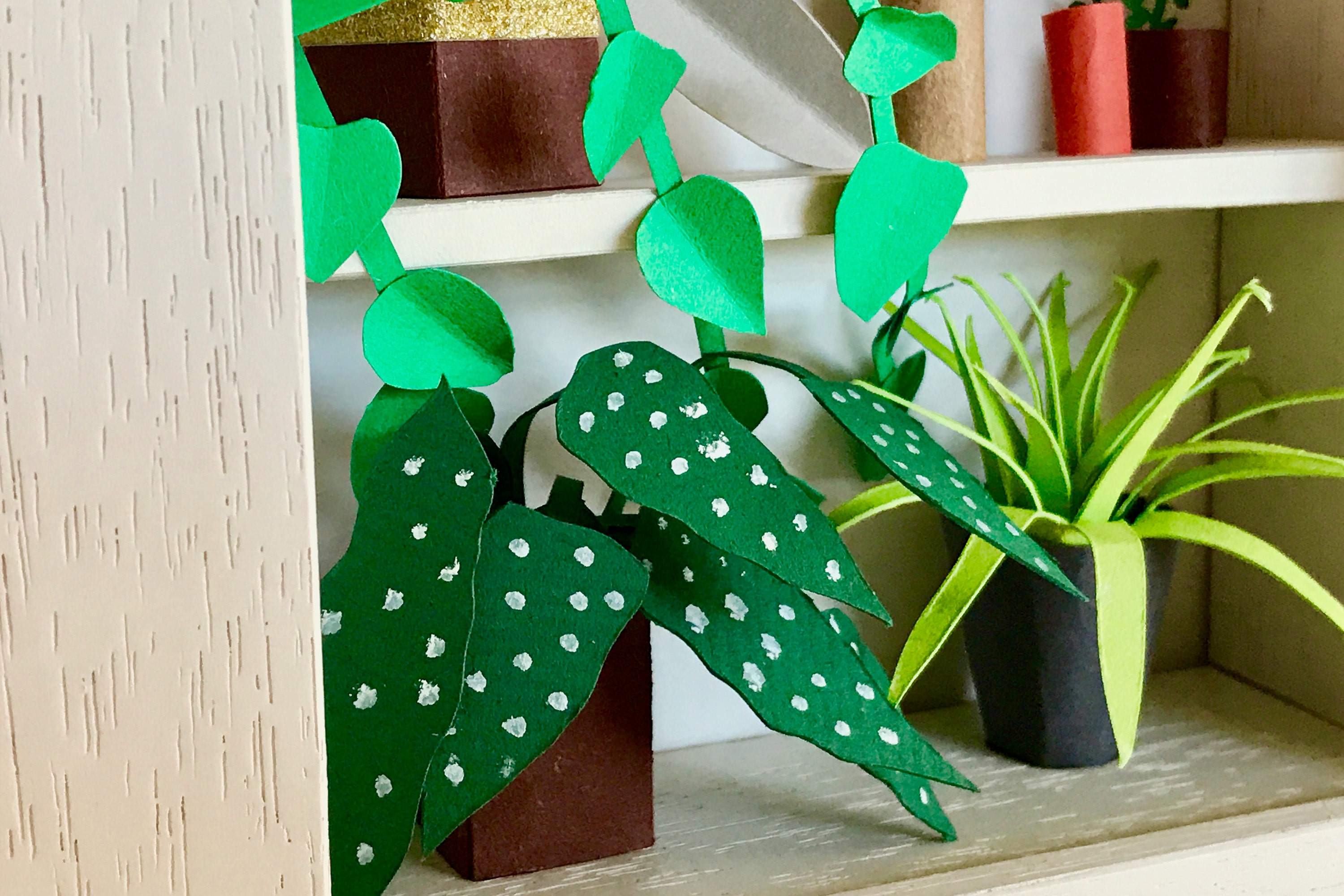 Botanical illustration website image