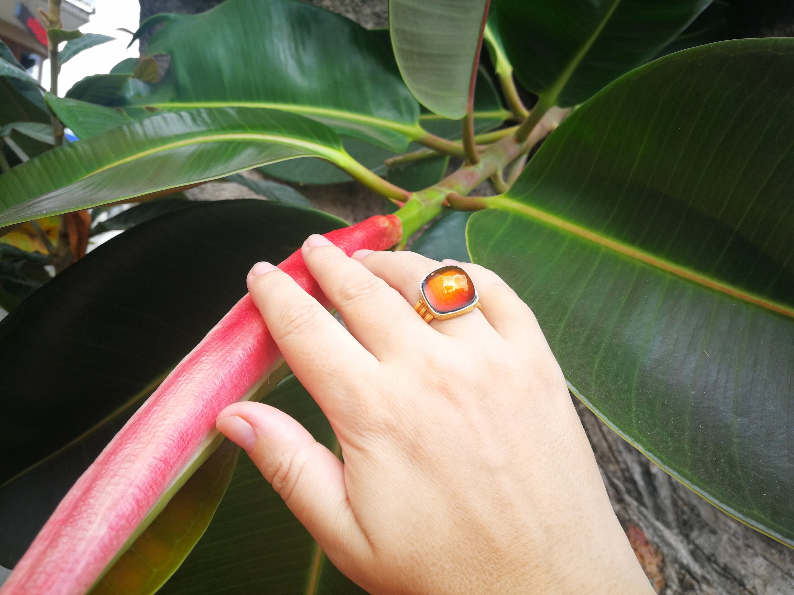 Northern Lights - Mood Ring - 15 Mm - Sterling Silver 925 (pure or 