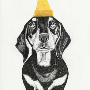 Custom Pet Illustration