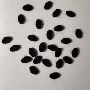 May include: A collection of 25 black oval-shaped felt pads. The pads are scattered on a white surface.