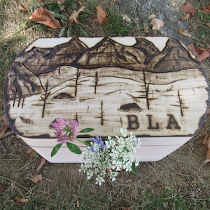 May include: A wooden box with a burnt-in design of mountains and a lake. The box is painted white and has the letters "BLA" burnt into the wood. The box is sitting on a bed of brown leaves and grass.