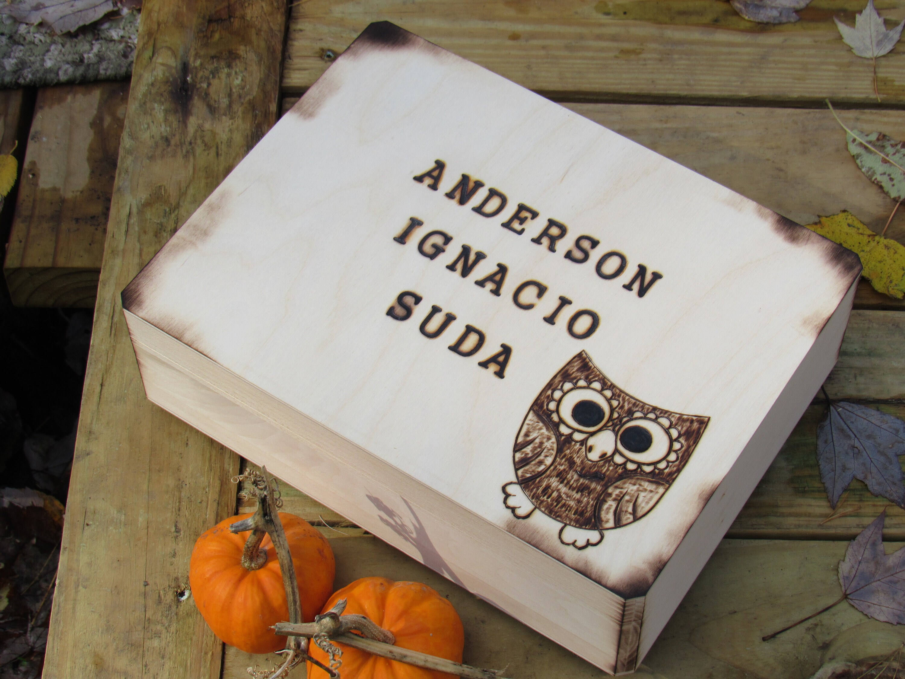 Owl themed keepsake box Wood burned First name Baby keepsake box with animal graphic Large Box 11.5 