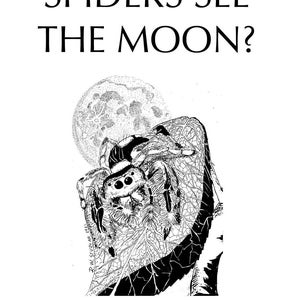 Can Jumping Spiders See the Moon ? - comic book