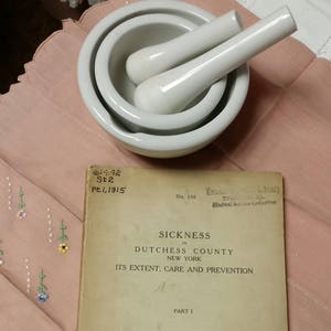 Sickness in Dutchess County New York Its Extent, Care and Prevention  Part I 1915