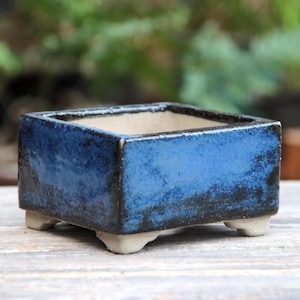 Maceta Shohin de cerámica esmaltada azul para bonsái: moderna maceta cuadrada para suculentas