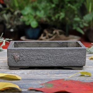 Könnte beinhalten: Ein rechteckiger grauer Keramik-Bonsai-Topf mit strukturierter Oberfläche. Der Topf hat vier kleine Füße und steht auf einer Holzoberfläche.