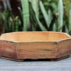 Può includere: Un vaso per bonsai ottagonale in terracotta con una finitura usurata nei toni dell'arancione e del marrone. Il contenitore poco profondo presenta lati dritti e piatti e un'ampia apertura, poggiando su una base integrata con piedini visibili.