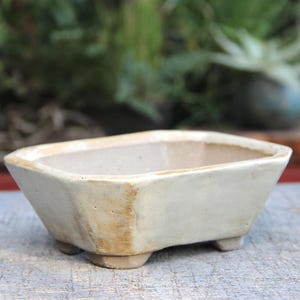 May include: A small, rectangular, off-white ceramic bonsai pot with rounded corners and three small feet. The pot has a light brown rim and a neutral interior, suitable for miniature plants. The background is blurred, suggesting an outdoor setting.