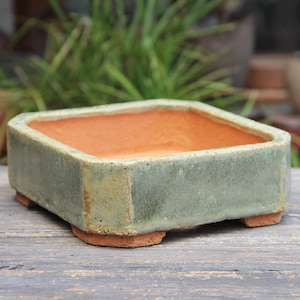 Könnte beinhalten: Ein quadratischer Bonsai-Topf mit hellgrüner Außenseite und rotbraunem Innenraum. Der Topf hat ein niedriges Profil und steht auf vier kleinen, abgerundeten Füßen. Die Kanten des Topfes sind leicht abgerundet, und das Design ist schlicht und funktional.