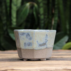 Vaso per bonsai a cascata blu pastello: vaso poligonale per piante grasse