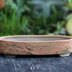 May include: A rustic oval-shaped terracotta bonsai pot with a rough, textured surface. The pot has a light brown color with hints of orange and red.