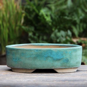 May include: A turquoise ceramic bonsai pot with a textured finish. The oval-shaped pot has a light brown base and a turquoise exterior. The pot is designed with three small feet for stability. The background is blurred, showing green foliage.