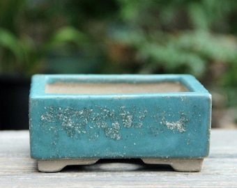 Ondiepe vierkante bonsaipot: groenblauwe succulente plantenbak
